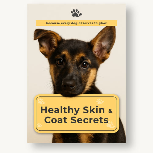 Healthy Skin & Coat Secrets eBook