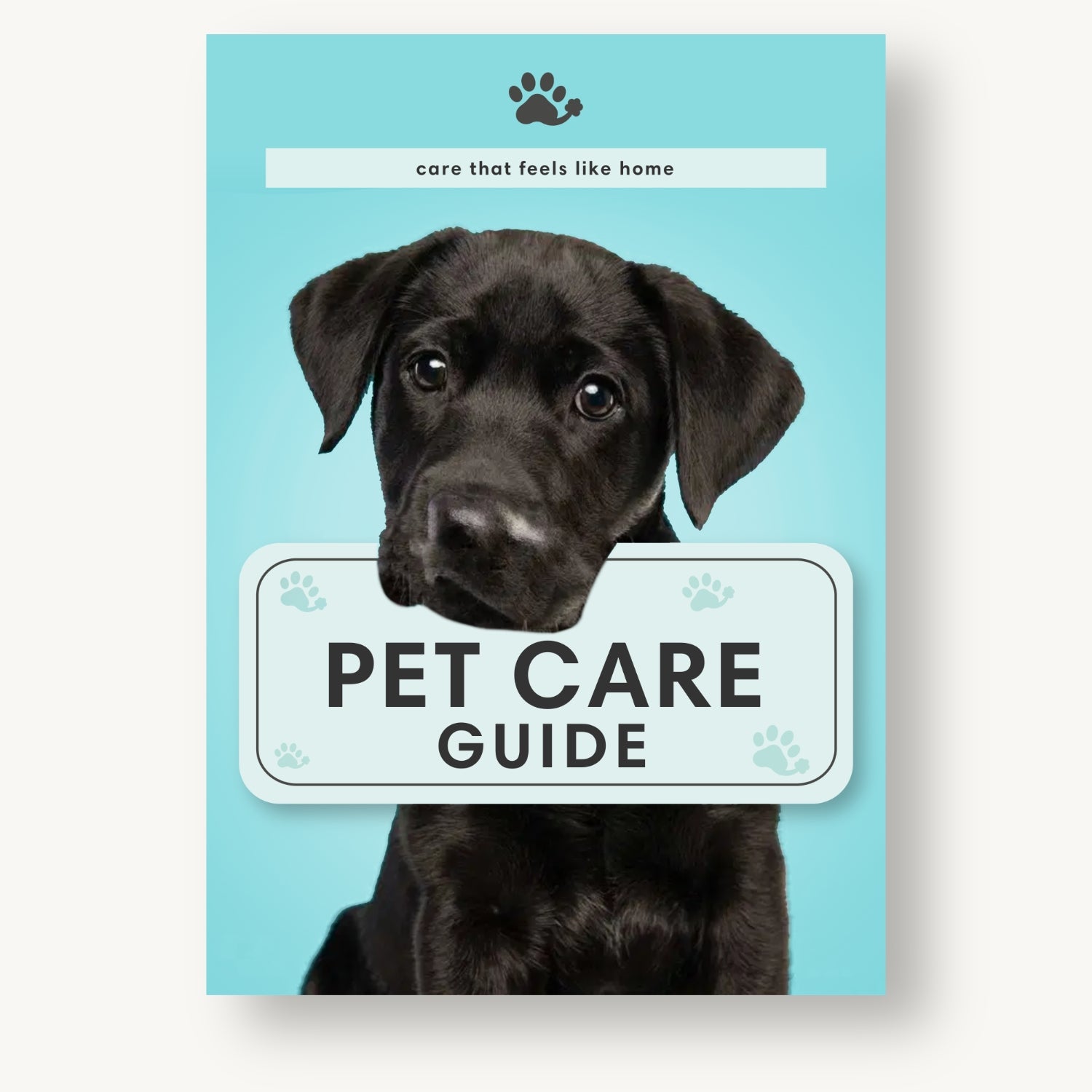 Pet Care eBook